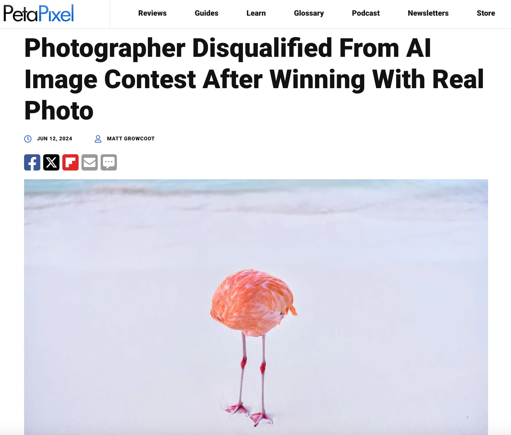 greater flamingo - PetaPixel Reviews Guides Learn Glossary Podcast Newsletters Store Photographer Disqualified From Al Image Contest After Winning With Real Photo Matt Growcoot fXF